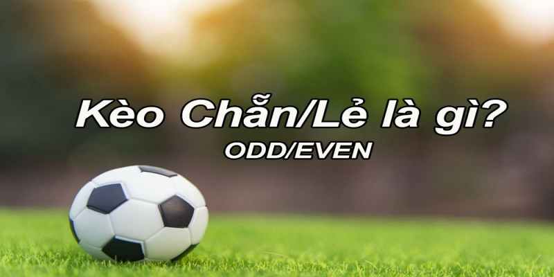 Tìm hiểu cược chẵn lẻ là gì