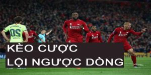 Giới thiệu nhanh kèo cược đội lội ngược dòng
